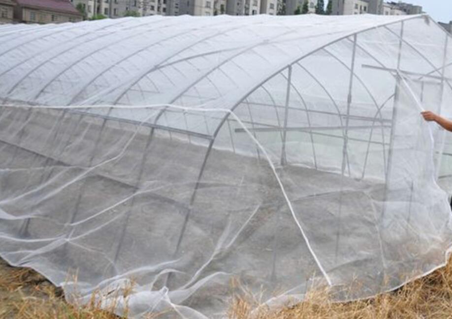 防虫网免打农药种菜,露地蔬菜防虫网的使用
