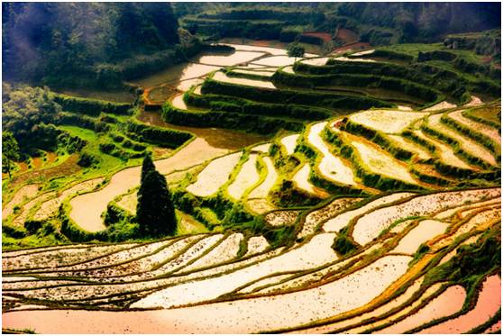 浙江隐藏一座仙境,浙江距离杭州1小时车程的城市