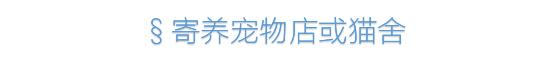 铲屎官旅游小猫咪开门,铲屎官出门猫咪躲床下