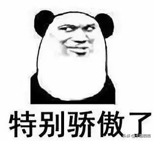 显脸小的刘海不论脸型学生党,适合所有脸型的刘海显脸小