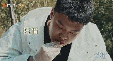 变形计纪录片后来怎么样了,变形计十六季在线观看免费