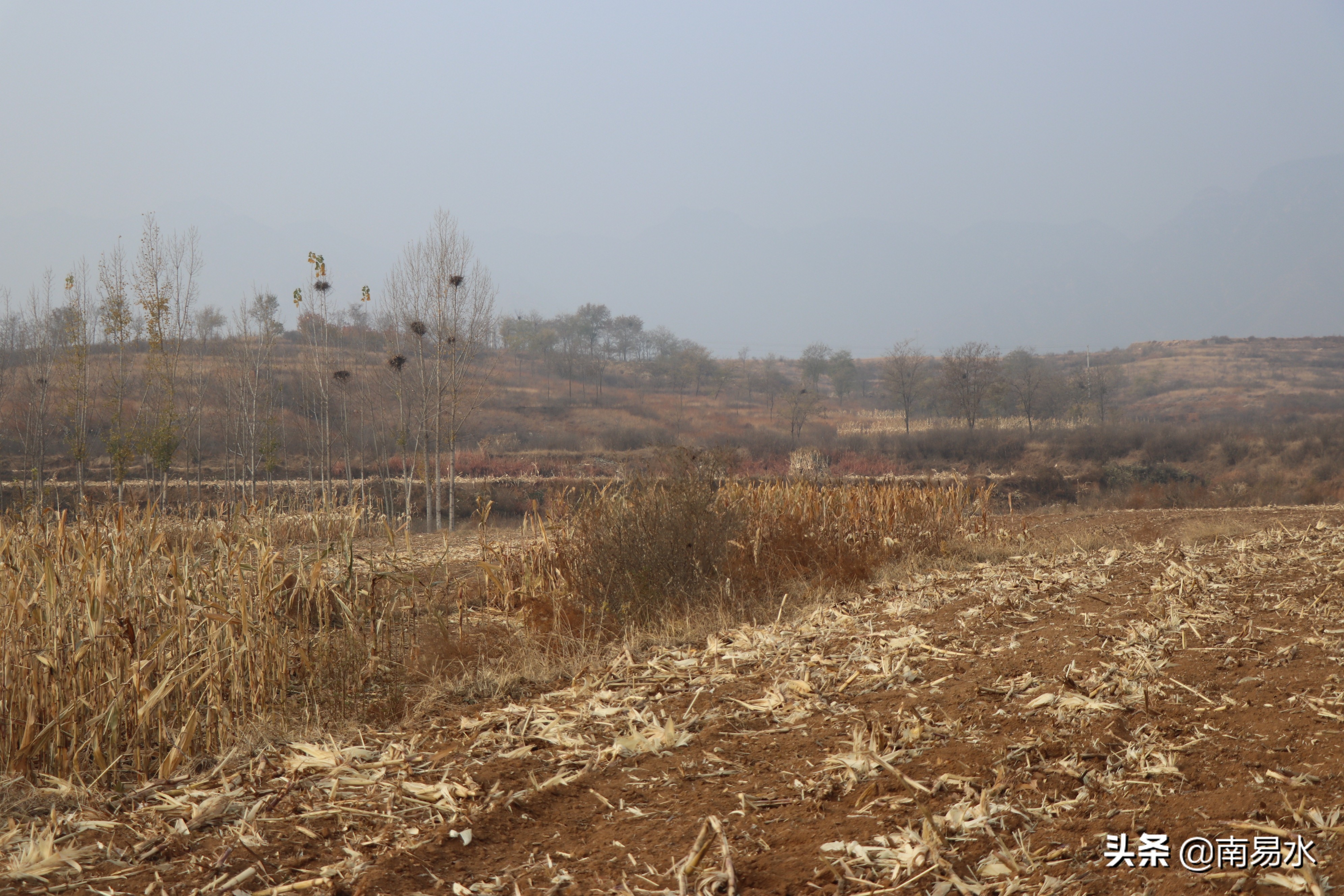 家乡风景带你一起感受自然的味道,令你难以忘怀的家乡的味道