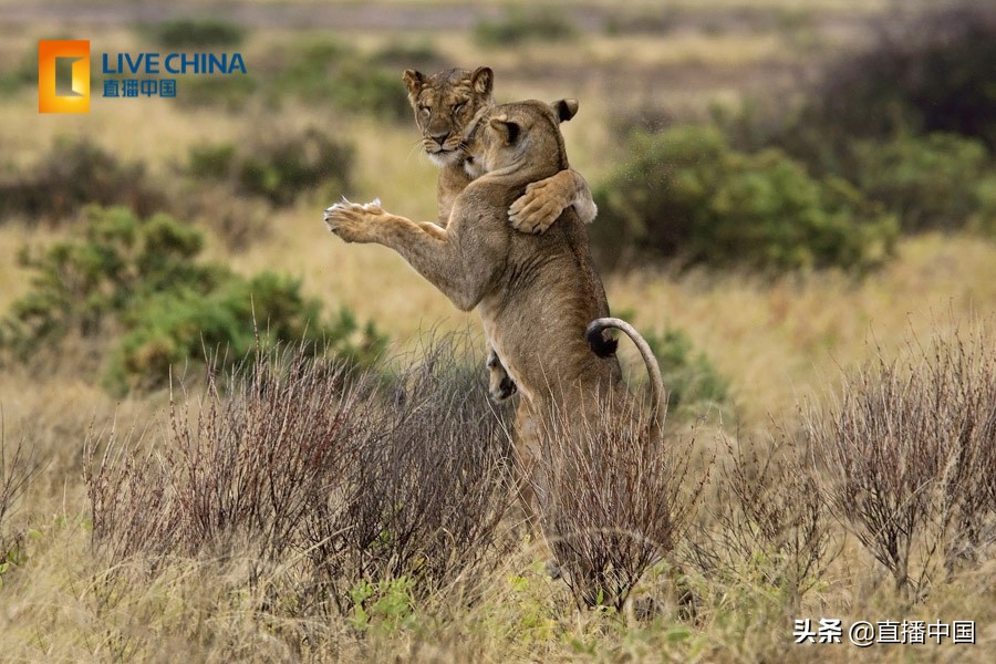 cnn评世界最美景点,外国人评出的中国最美十五个景区