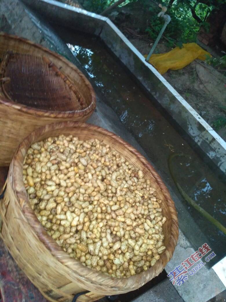 吉林地理标志农产品,吉林省23个国家地理标志农产品