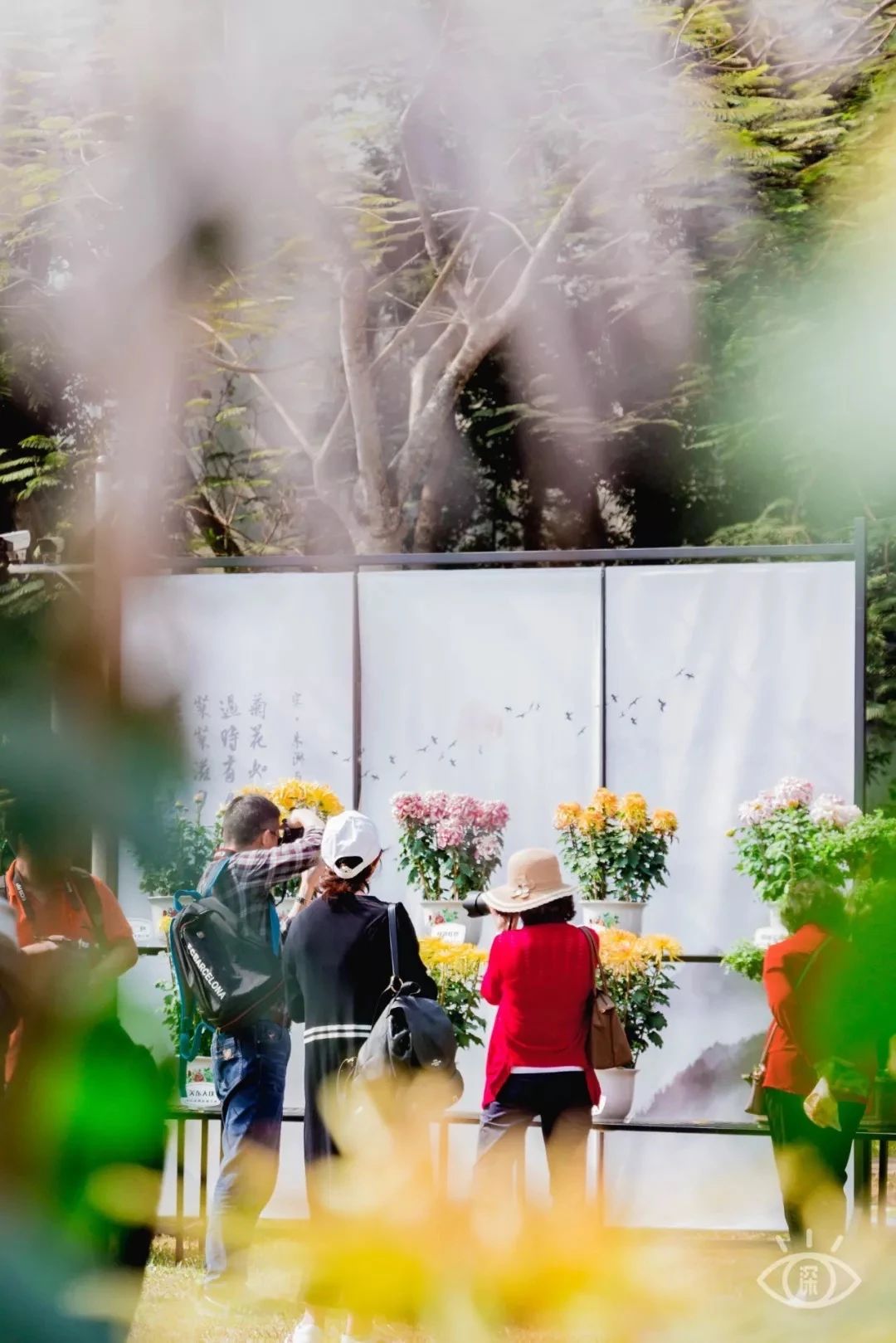 深圳吃喝玩乐两日游推荐,深圳周边游吃喝一日游推荐