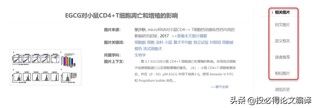 文献检索工具主要有以下几种类型,文献检索的搜索技巧