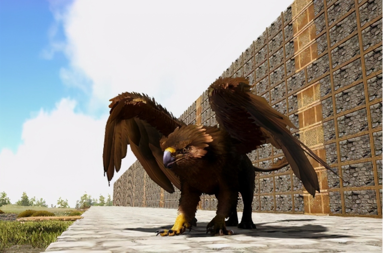 最大的老鹰有多强,跟老鹰和豹子打起来谁最厉害