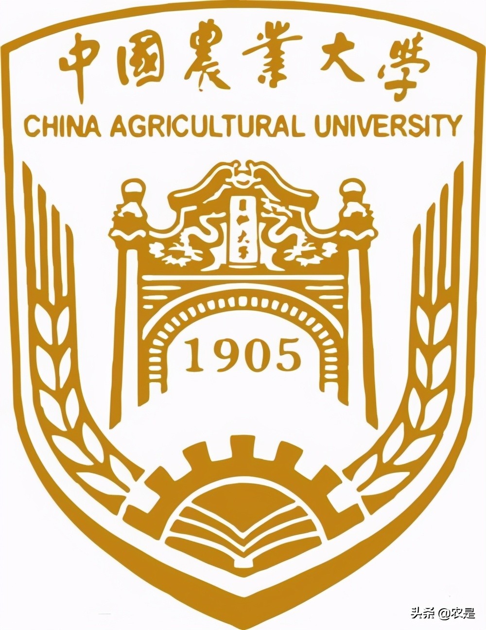 涓浗鍐滀笟澶у淇炶嫳,淇炶嫳