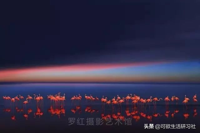 淘宝高品质家居,淘宝最值得买的家具