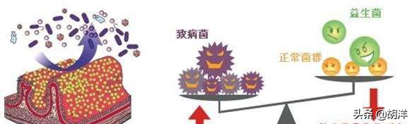 头孢吃了好不好,头孢吃了对胃不好吗