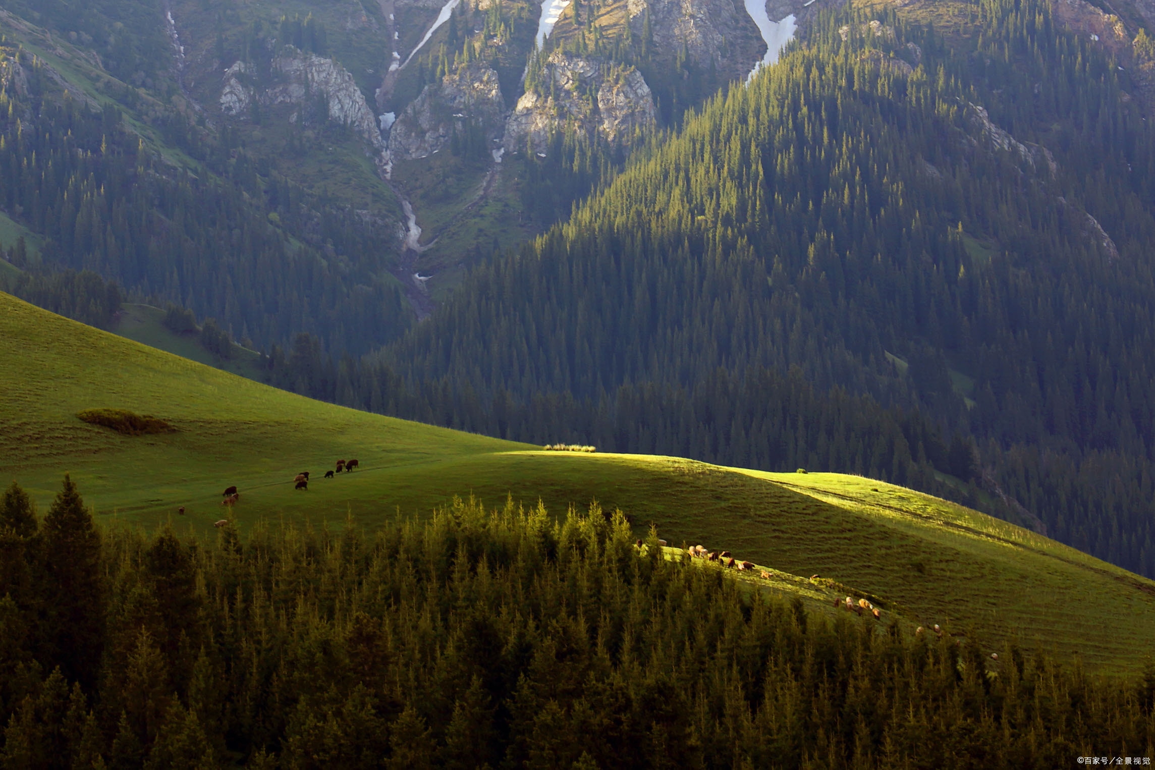 伊犁果子沟——山奇石怪的奇绝仙境