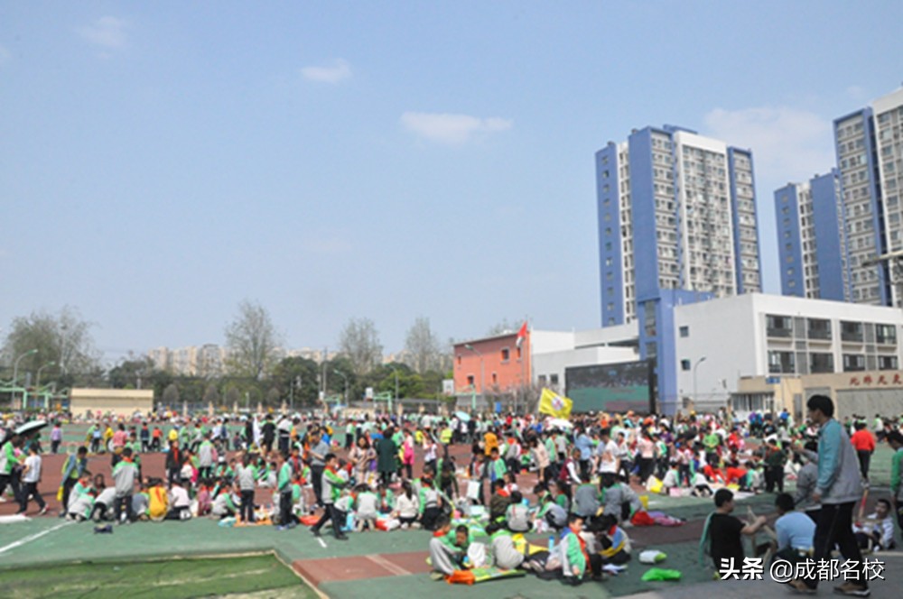 趣味十足的跳蚤市场,跳蚤市场有趣活动