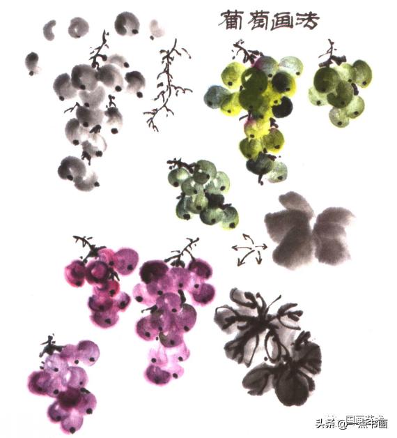 写意蔬果用铅笔怎么画,写意蔬果掌握教学重点的方法