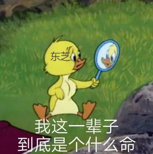 百年企业东芝落幕,东芝没落史完整版