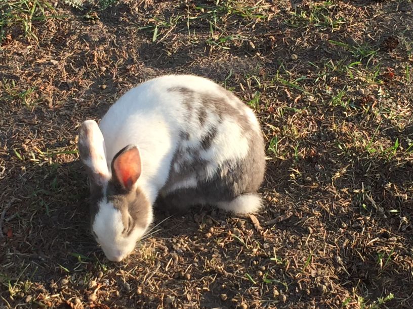我的旅行故事精彩片段,我的旅行故事全集