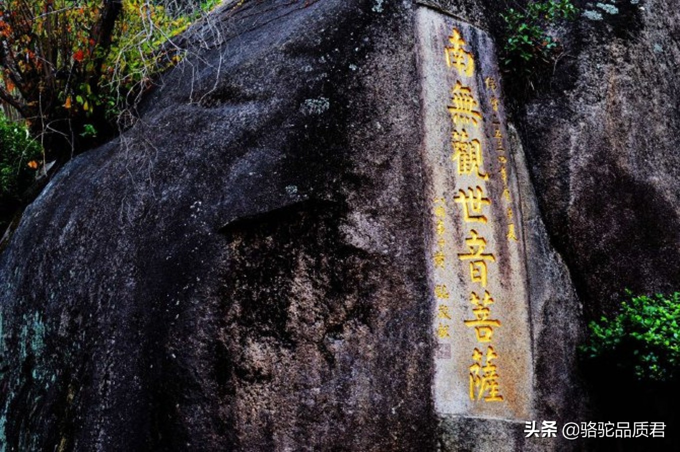 厦门海边之旅,厦门小众旅游体验