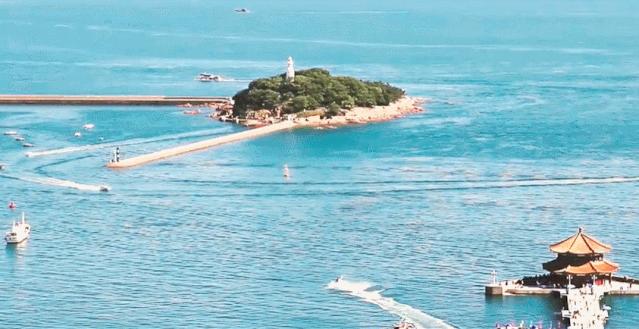 海滨老城泡桐花 (海滨老城紫色泡桐花)