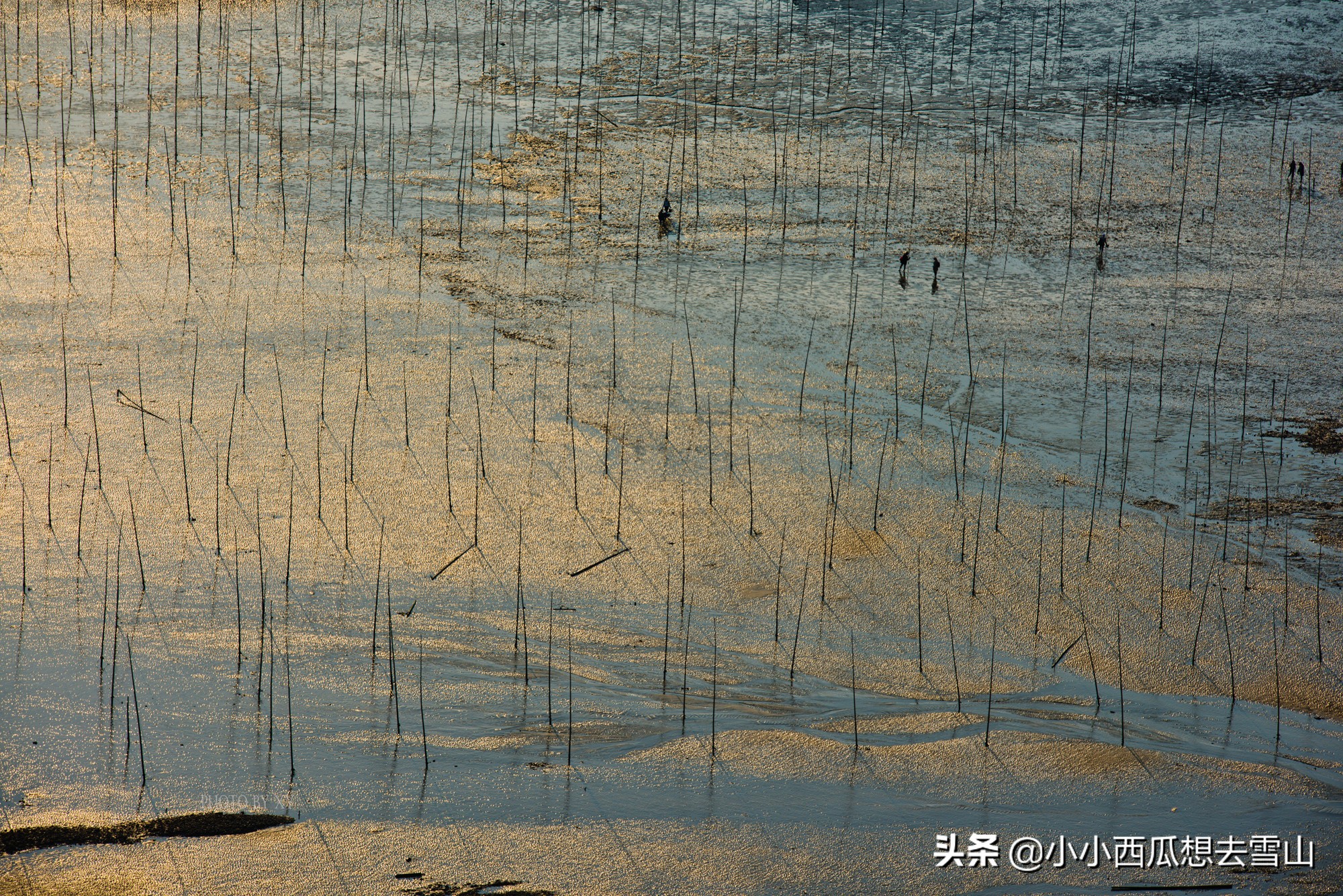 福建霞浦并不是只有滩涂摄影,还有这5处景点,既可摄影又可游玩