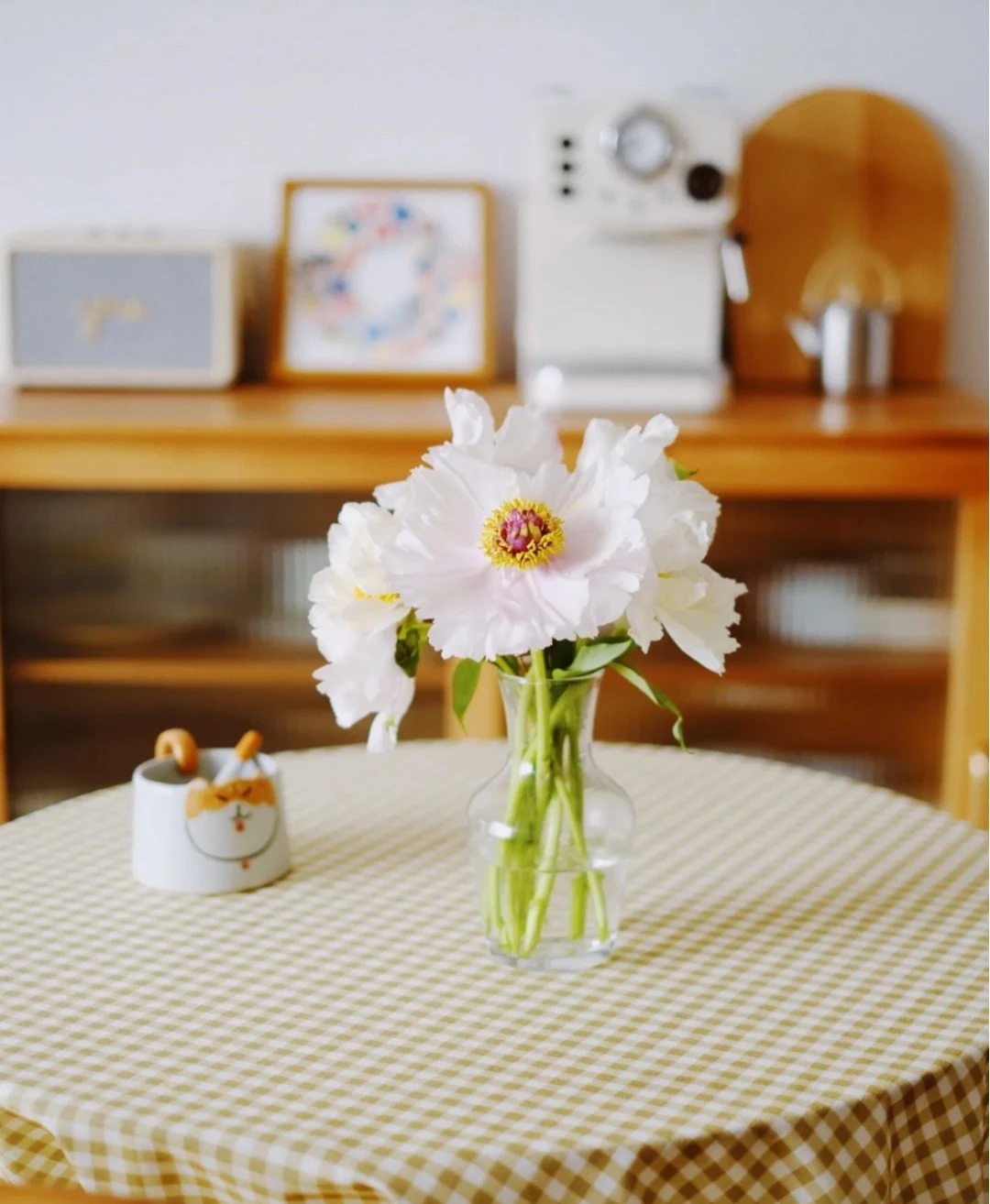 植库‖跟随仙气飘飘的油牡丹，追寻春天的步伐