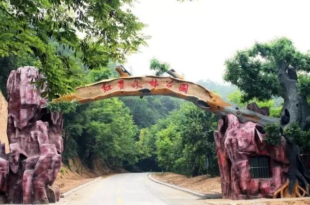 我在长武刚刚好，何必羡慕北上广