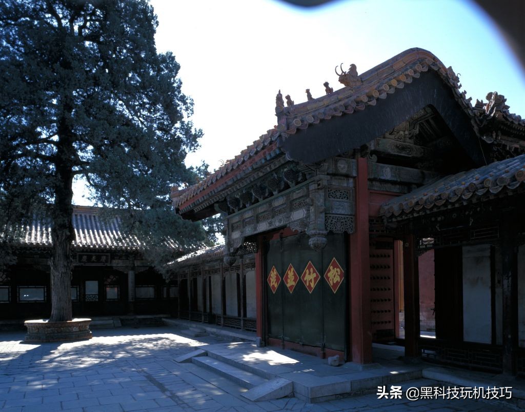 这里是故宫书籍 (这里是故宫阎崇年)