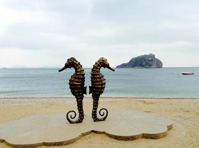 大连旅游攻略精致景点推荐,大连必去的打卡景点