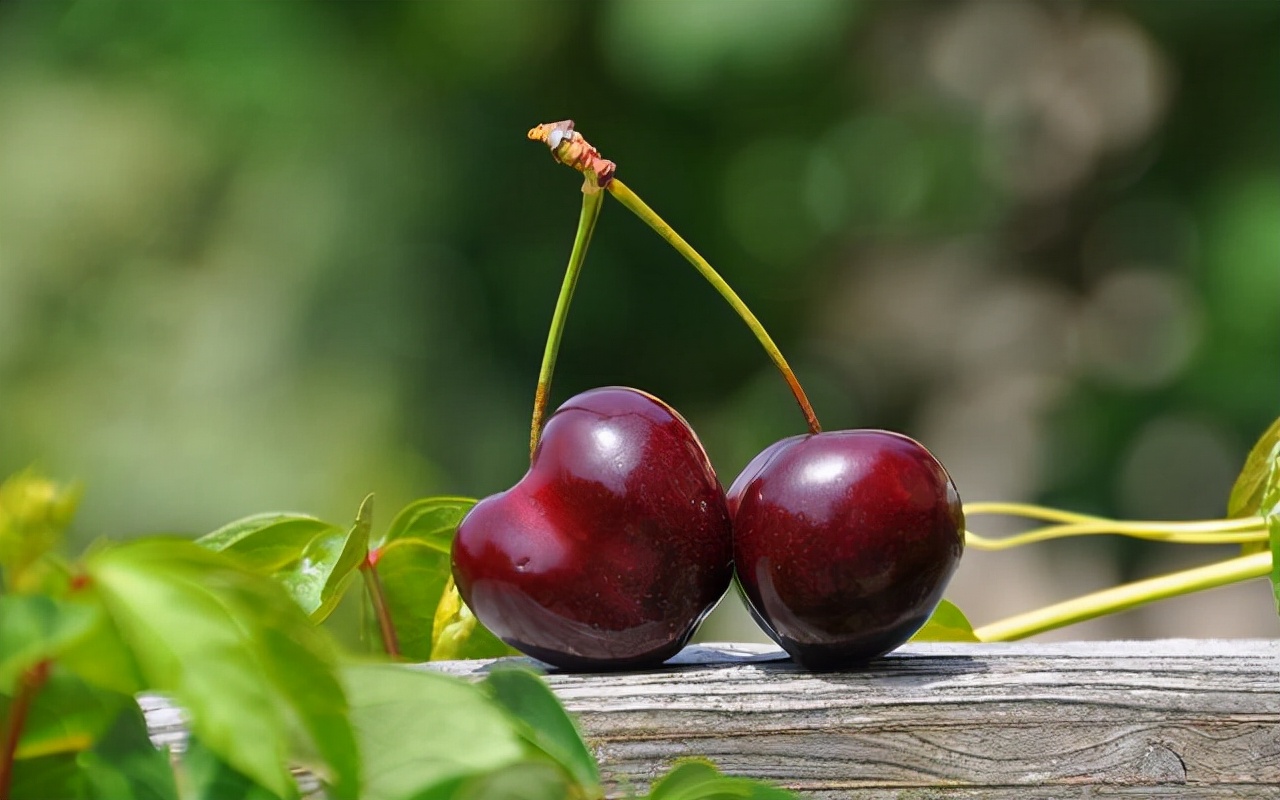 脸上有皱纹吃什么东西可以缓解,脸上的皱纹什么食物可以缓解