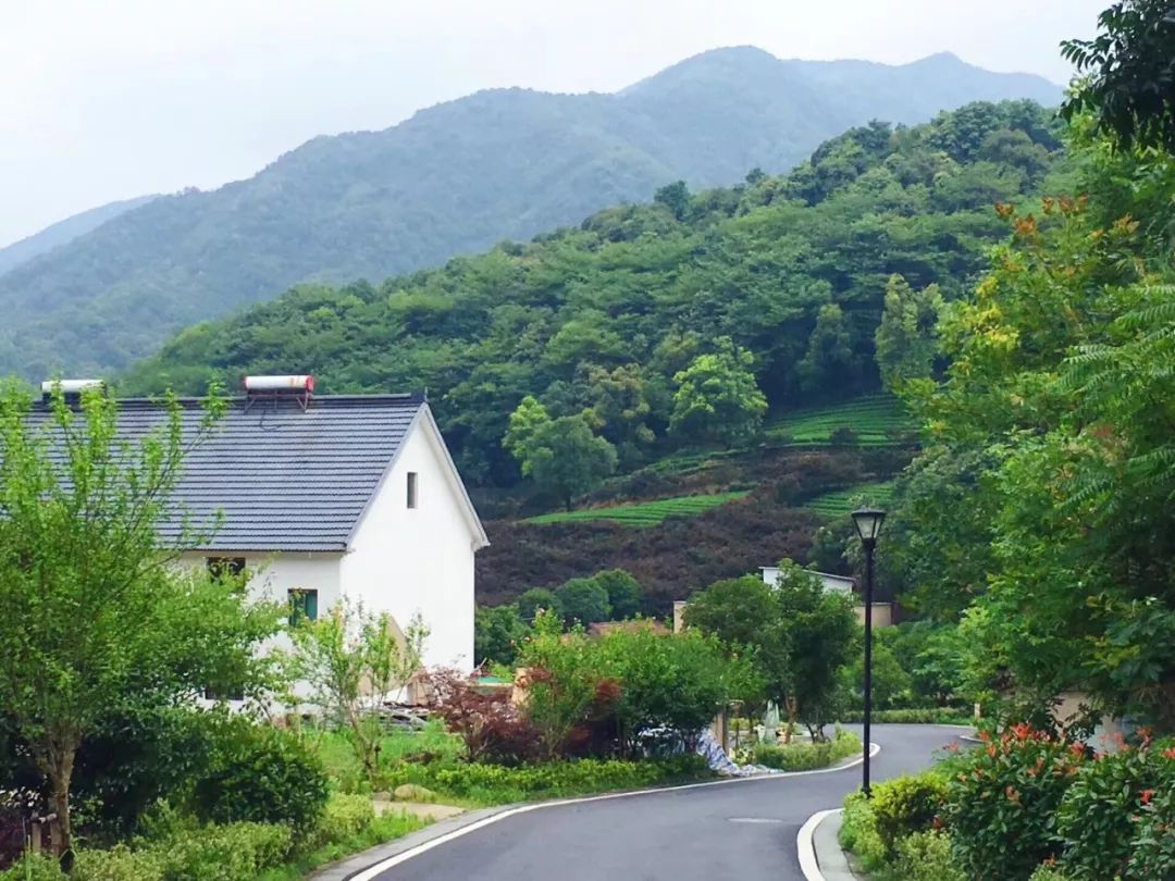 未来的杭州西湖,浙江杭州新西湖