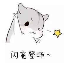 函授自考网络教育成考区别,自考国考成考都是全日制学历吗