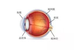 眼白上有黄点?*血丝红**?...你该警惕了