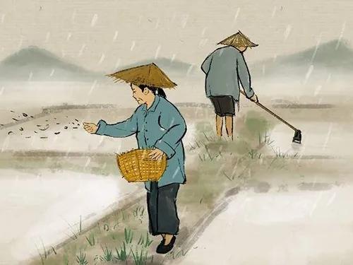 谷雨节气养生问候信息,谷雨节气养生知识大全最新版