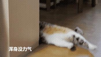 辟谷抑制饥饿小妙招,辟谷怎么缓解饥饿