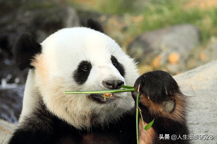 香港新界旅游景点,香港旅游景点推荐