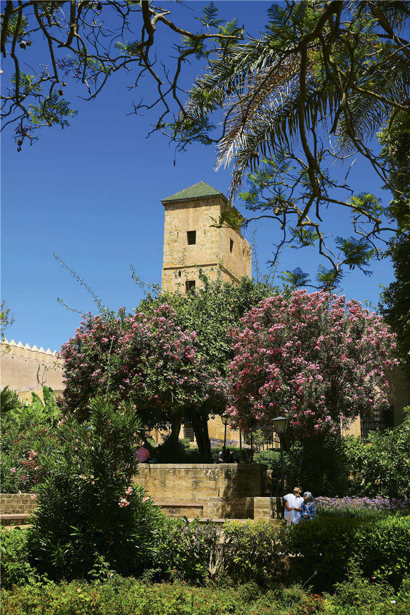 在摩洛哥隐藏于市井的拉巴特花园里，在当地人的回忆和渴望中，我看到了一个真正的摩洛哥