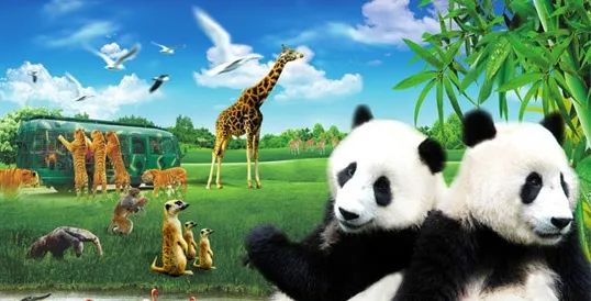 深圳疫情旅游景点什么时候开放,深圳旅游景点开放最新情况