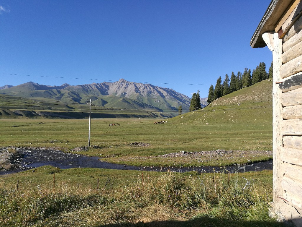 *疆新**蒙古包旅店老板，看他一天的收入多少，一个月就抵我一年工资