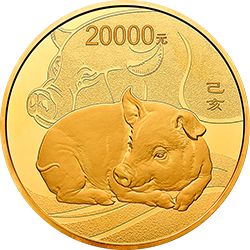 欣赏猪币，美美猪年！