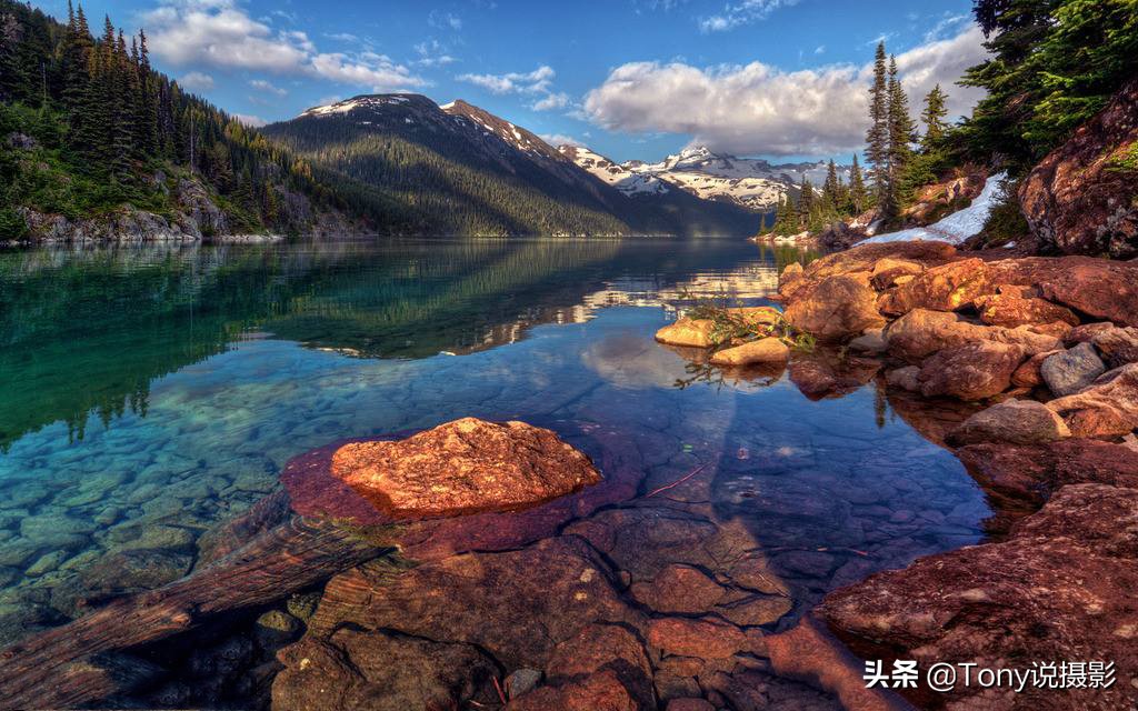 购机推荐：新手挑选单反相机，这些建议你认同吗？