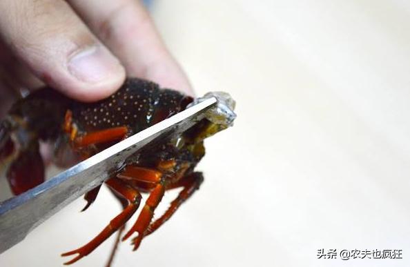 清洗小龙虾最干净的方法,清洗小龙虾简单干净好吃