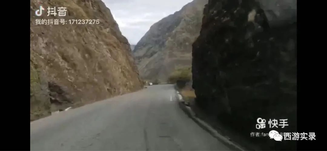 三进三出哥伦比亚送鲜花求爱，沪C穿越五大洲、第一次在南美相亲