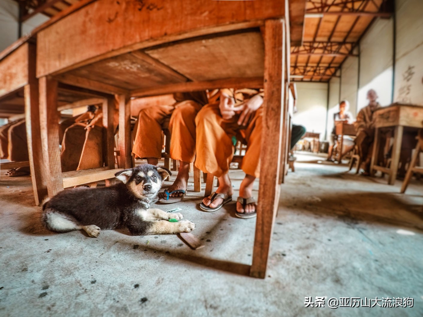 中缅边境的佛寺,旅途中遇到藏区僧人