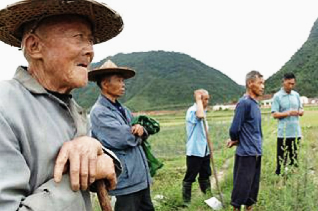 猪肉价格跌入谷底,猪肉跌到5元