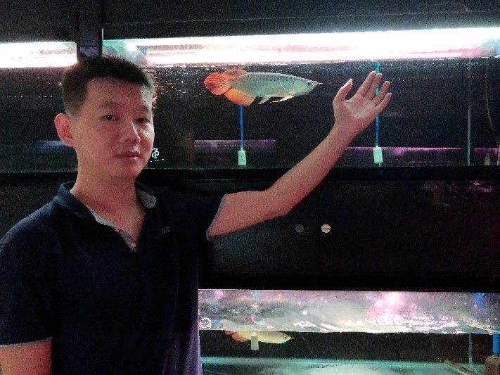 潮汕小伙卖金龙鱼,潮汕90后男生卖金龙鱼