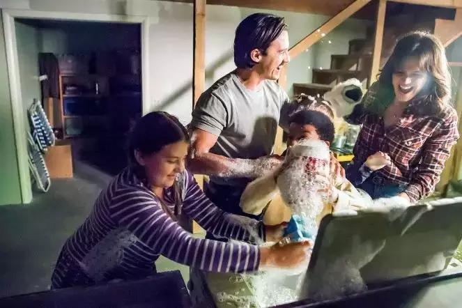 连续四年第一名,连续六年蝉联榜单