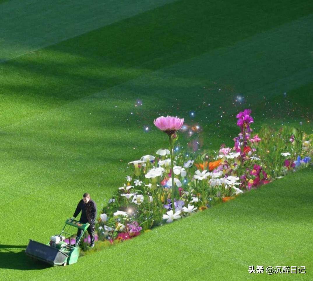 儿子用他的马大哈,来了一次实力坑爹