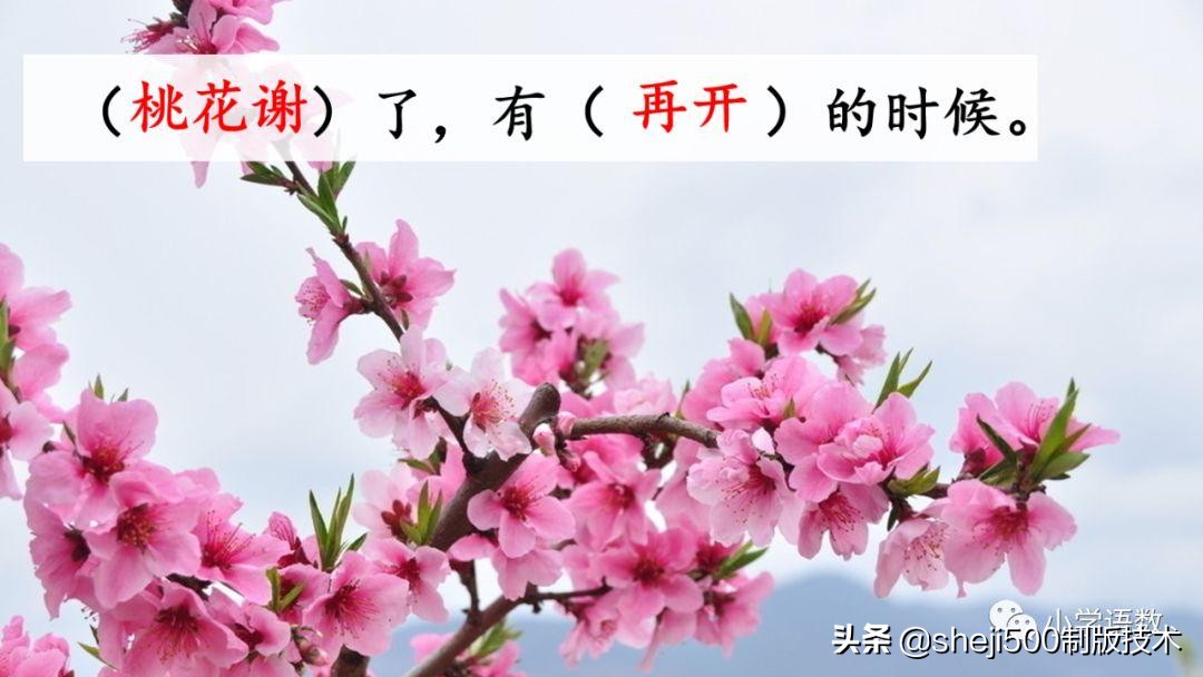 部编版六年级下第八课匆匆讲解,语文六年级下册第8课匆匆预习