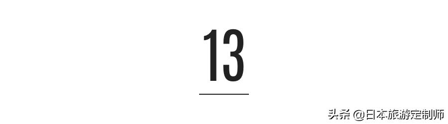 日本最美小景点,日本超美的花海美景