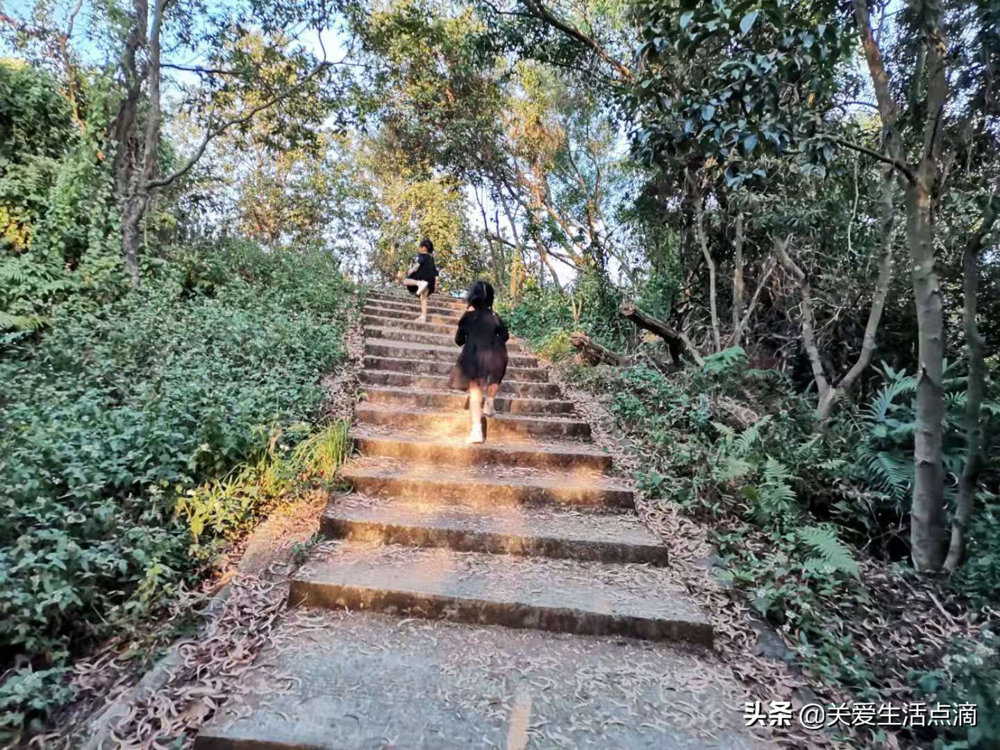 惠州市惠阳区亚公顶森林公园游记,惠阳亚公顶森林公园怎么走