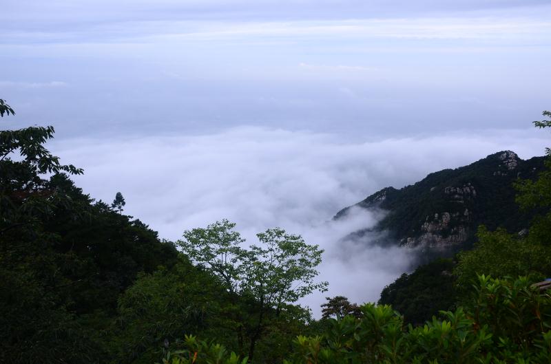 庐山牯岭镇印象,庐山意境风景