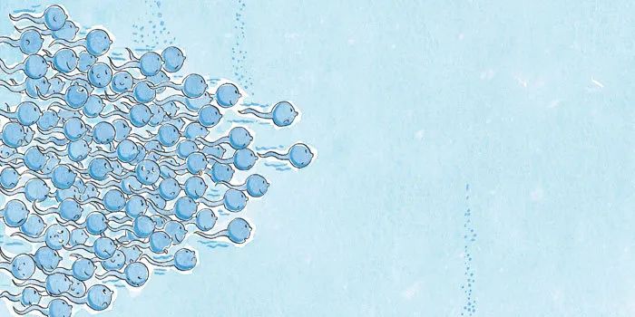 真实的性教育,如何让性教育不再难以启齿